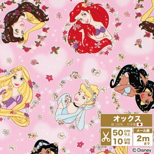 fBYj[vZX n IbNX { 110cm z  Rbg vg Y | nhCh AG WX~ Vf x vcFy510cmPʁzy[2m