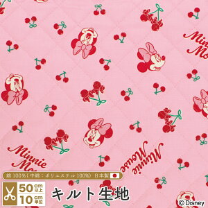 ~j[}EX LeBO n IbNX Lg `F[ { 105cm z  Rbg vg Y | nhCh ځy510cmPʁz