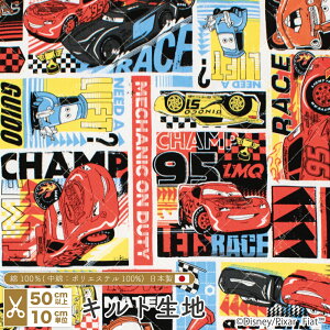 J[Y LeBO n IbNX Lg [T[ { 105cm z  Rbg vg Y | nhCh fBYj[ sNT[ }bNC[y510cmPʁz