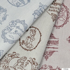 Disney fBYj[vZX dBD WK[hn 110cm×10cmPʌv蔄 z Rbg  n Dn { Dy5珳܂z