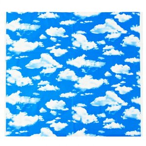 Ԍ艿i@ _ CLOUD IbNXn 110cm×10cmPʌv蔄bz Rbg vg  z|X^[ t@ubNpl CeA  w ʉ ʊwy5珳܂zy