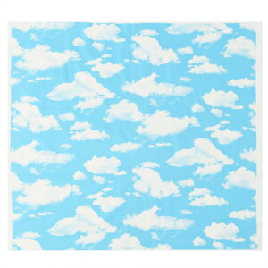 Ԍ艿i@ _ CLOUD IbNXn 110cm×10cmPʌv蔄bz Rbg vg  z|X^[ t@ubNpl CeA  w ʉ ʊwy5珳܂zy