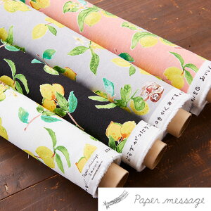 Paper message y[p[bZ[W ƃi}Pm ȖLoXn 110cm×10cmPʌv蔄 | z Rbg l vg   G  ԕ  t[c |  n