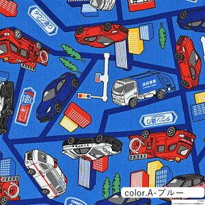 g~J nCEFC IbNXn 110cm×10cmPʌv蔄 | z Rbg vg | nhCh  gbN pgJ[ VxJ[ 蕨 j̎qy5珳܂z