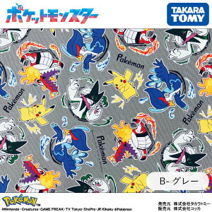 |P IbNXn sJ`E }XJ[j Eh{[ EF[jo 110cm×10cmPʌv蔄 |PbgX^[ z Rbg vgy5珳܂z