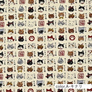 L͗l} IbNXn 110cm×10cmPʌv蔄bz Rbg vg  w ʉ ʊw ˂ Lbg ay5珳܂zy[2m܂Łz