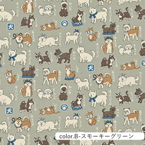 {} IbNXn 110cm×10cmPʌv蔄bz Rbg vg  w ʉ ʊw  hbO ay5珳܂zy[2m܂Łz