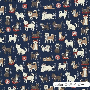 {} IbNXn 110cm×10cmPʌv蔄bz Rbg vg  w ʉ ʊw  hbO ay5珳܂zy[2m܂Łz