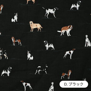 Ck}ӕ n 60[ { 108cm z  Rbg vg n Y i`  hbOy510cmPʁzy[5m܂Łz