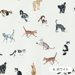 lR}ӕ n 60[ { 108cm z  Rbg vg n Y i` L Lbgy510cmPʁzy[5m܂Łz