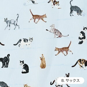 lR}ӕ n 60[ { 108cm z  Rbg vg n Y i` L Lbgy510cmPʁzy[5m܂Łz