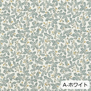 tX 50{Cn 110cm×10cmPʌv蔄 | Rbg100 { vg z 킢 i` k {^jJ  nhCh | y5珳܂zy[5m