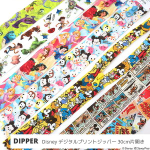 DIPPER fBYj[fW^vgWbp[ 30cm ЊJt@Xi[ S7 y݌ɌzDisney vZX ~bL[ ~j[ gCXg[[ X^[YCN PIXAR sNT[ GRobO |[` 