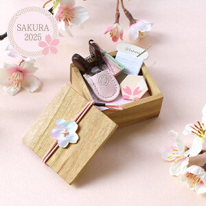 ٖؔ̍DZbg  Cohana Rni SAKURA2025 V[Yb΂ \[COZbg ~j g  nhCh |