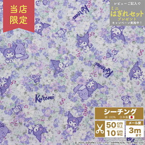 X@@N~ TILN^[Y V[`On @Rbg@ȁ@110cm×10cmPʌv蔄 | z Rbg vg | nhCh@|@ٖD@IWiy5