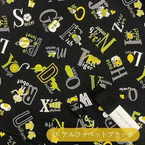 yzyHnzwObY2_Lbgb\[COLbg  100 vg ʉ ʊw bXobO В V[YobO `}bg ̑ 