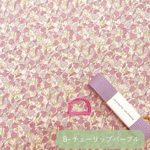 yzwObY2_Lbgb\[COLbg  100 vg ʉ ʊw bXobO В V[YobO `}bg ̑ ٓ Rbv 