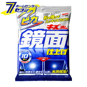 tNsJ LYʎdグ 10 00496 [\tg99 ShFΉ {fBbNX LY EFbgV[g V[g^Cv ԃV[g  o c  ͂  ԗp J[pi SOFT99]