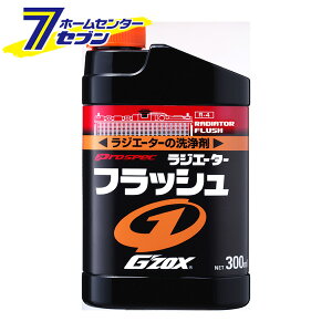 \tg99 WG[^[ tbV 300ml iWG^[܁j 05026 [eiX AJ  ͐ ԗp J[pi SOFT99]