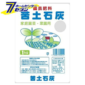 yΊD() 1kg {O[T[rX [K[fjO y 엿 ]