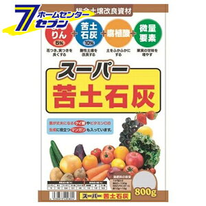 X[p[yΊD 800g {O[T[rX [K[fjO y 엿 ]