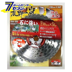 n 230x36 r̗2 ACEbh [@ `bv\[ ֐n]