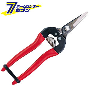 EV[g^Cv 300S-BP AXR[|[V [|  n]