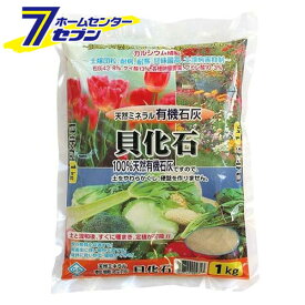 楽天市場 貝 石灰の通販