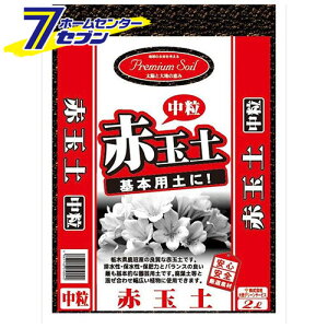 v~A\Cԋʓy  2L {O[T[rX [K[fjO y]