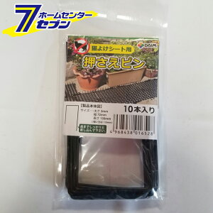 L悯V[gps ubN 10P rj[ [_Ǝ |pi]