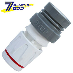 Xgbv\Pbg C-21 gbNX [|pi Upi Up[c]