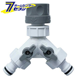 \PbgpRbNt C-29 gbNX [|pi Upi Up[c]