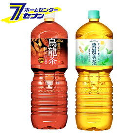 楽天市場 太陽のマテ茶 水 ソフトドリンク の通販