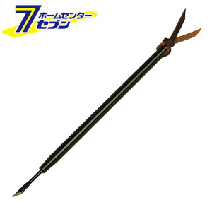 }CNiCt PNM-6 iio L Y [ƍH cSe H]