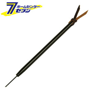 }CNiCt PNM-7 iio S Y [ƍH cSe H]