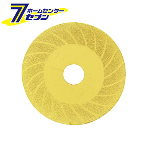 _ChV[vi[ SDS-100F Y [[H WXN ANZT _C؍]