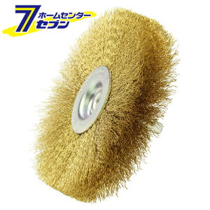 Zp^JzC 100MM Y [[H hANZT Zp u X C]