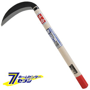 y|Cg5{zАn 195MM Y [|  ]y|CgUP:2025N111410:00`1116 23:59܂Łz