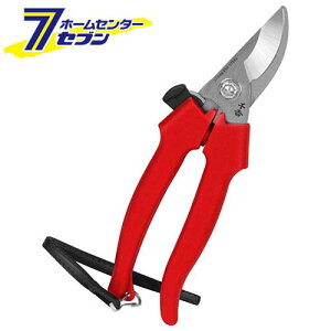 XeX SGP-41 Y [|  ]