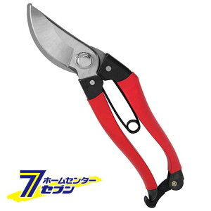 y|Cg5{zp SGP-20L Y [|  ]y|CgUP:2025N111410:00`1116 23:59܂Łz