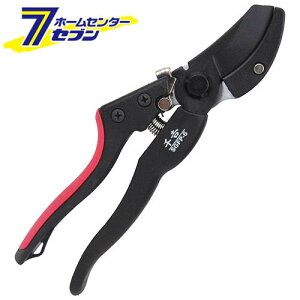 y|Cg5{zGF WObv} g SGFP-6 Y [ |  ]y|CgUP:2025N111410:00`1116 23:59܂Łz