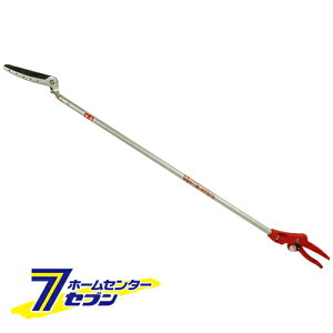 y|Cg5{zt SGL-12 Y [| ]y|CgUP:2025N111410:00`1116 23:59܂Łz