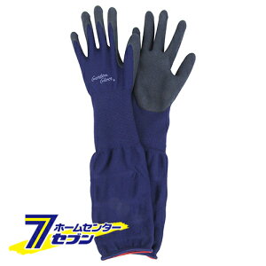 Snɂ NVL-S Y [ |pi یE⏕  K[fEFA K[fjOEFA |EFA ]