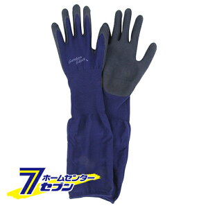 Snɂ NVL-L Y [ |pi یE⏕  K[fEFA K[fjOEFA |EFA ]