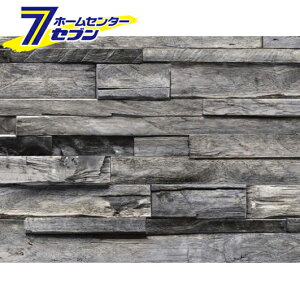 y|Cg5{z\Ă͂fR^CV[g Ζ 40x100cm DGT-04 GY aOrA [͗lւ  䏊 Lb` ʏ rO \Ĕ ݂͂ŃJbg h]y|CgUP:2025N111