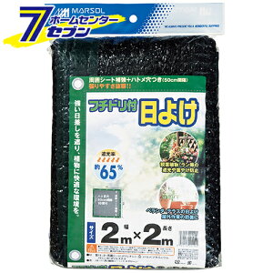 t`htP 2MX2M 65% {}^C [|pi _Ǝ  Ռlbg]