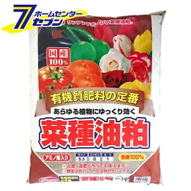 菜種油粕 2kg サンアンドホープ [油かす 肥料 油粕 園芸 園芸用品]