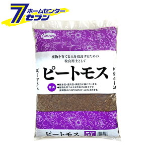 s[gX 5L TAhz[v [엿 | |pi]