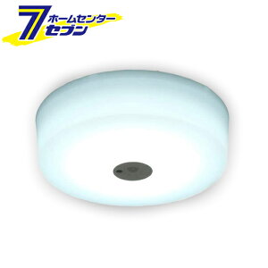 y|Cg10{z^V[OCg ^T[LbgV[Y 1200lm lZT[t F SCL12DMS-MCHL ACXI[} [LEDƖ  ʏ Eߏ L CeA]y|CgUP:2025