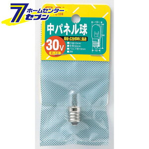 yő400~ItN[||CgUPzpl G-3101H ELPA [Md \]y2025N111z